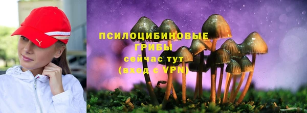 MESCALINE Белокуриха