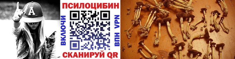 Галлюциногенные грибы мухоморы Приволжск